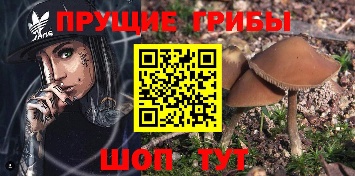 Псилоцибиновые грибы Cubensis  Вход с VPN  купить наркотики сайты  Ирбит  Псилоцибиновые грибы Magic Shrooms 